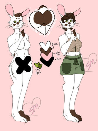 Character Sheet - $100